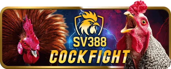 Ưu đãi chào mừng thành viên mới 25tr88