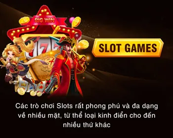 Đa dạng trò chơi 25tr88